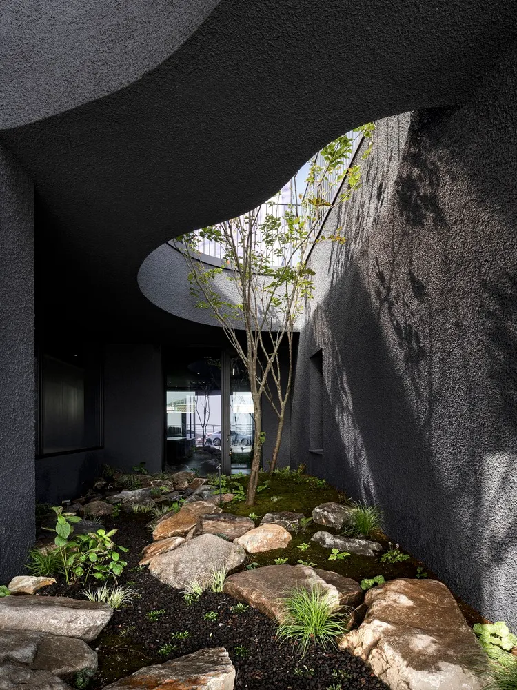 A modern room with a large tree growing through the floor, surrounded by potted plants and gray walls with black accents