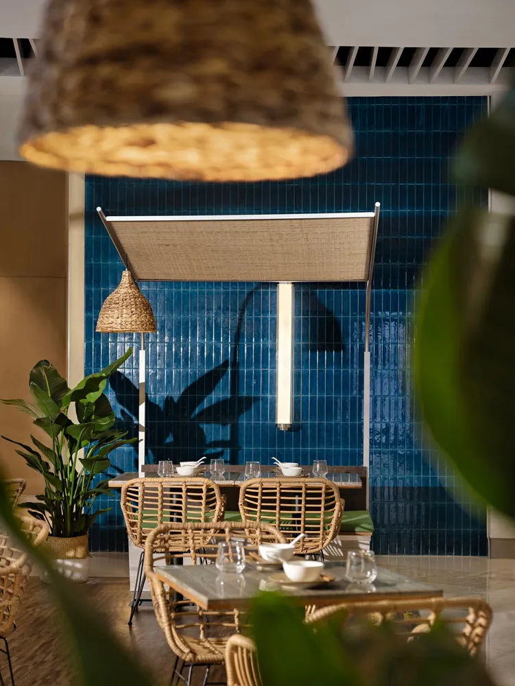 A modern restaurant interior with a dining area featuring tables, chairs, and potted plants, with blue walls and a relaxed atmosphere
