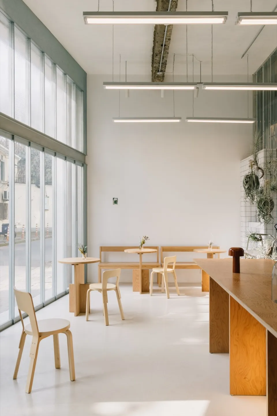 Modern restaurant interior with wooden floors, white walls, tables, chairs, and potted plants