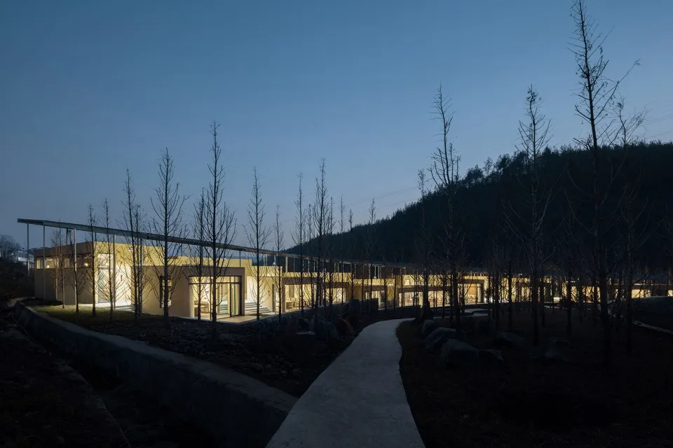 夜晚被樹木環繞的現代建築，玻璃牆讓自然光線進入空間