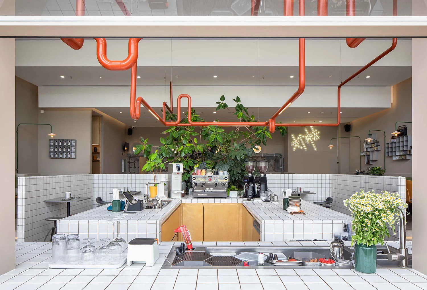 A commercial kitchen with modern countertops, two sinks, and a potted plant, exuding a clean and organized atmosphere with a focus on functionality and efficiency