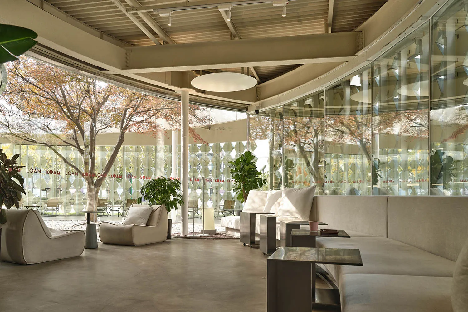 Comfortable living space with a white couch, two chairs, potted plants, and a glass wall