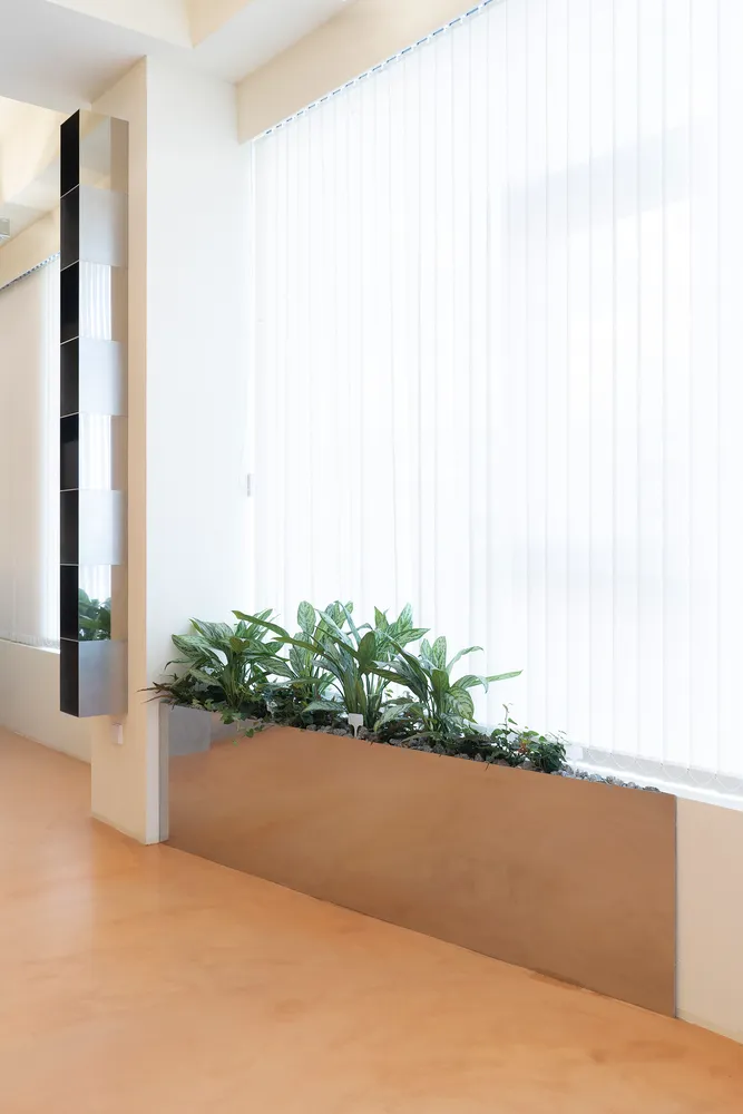 A calm and inviting indoor space with a large window, white curtains, and several potted plants adding a touch of greenery