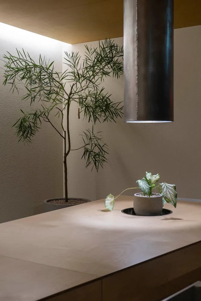 A small indoor space with a wooden table, potted plants, and a vase, creating a cozy and inviting atmosphere with a focus on greenery and natural elements