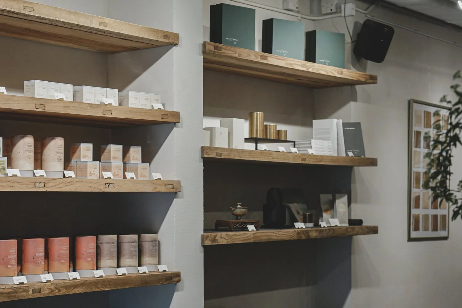 商店展示架上擺放各種產品，木製層架上瓶罐與書籍整齊排列，營造乾淨井然有序的氛圍