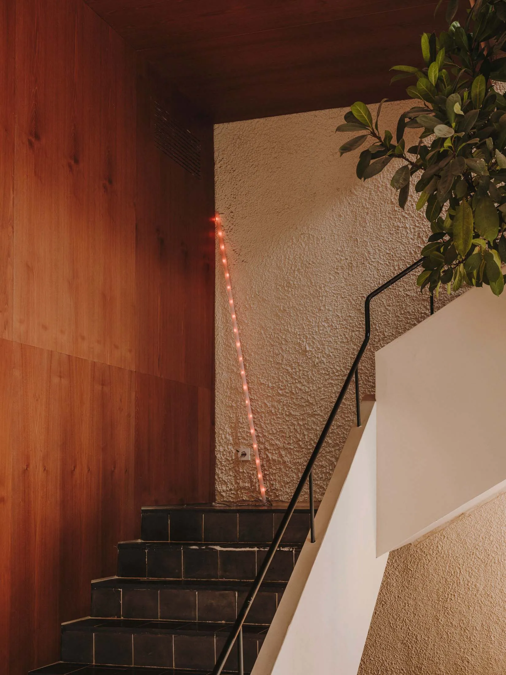 A real photo of a simple wooden staircase with a bright and well-lit atmosphere, taken during the daytime
