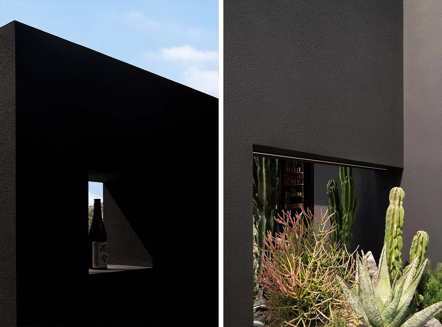 Modern interior design with potted plants and a cactus near a window, featuring clean lines and simplicity
