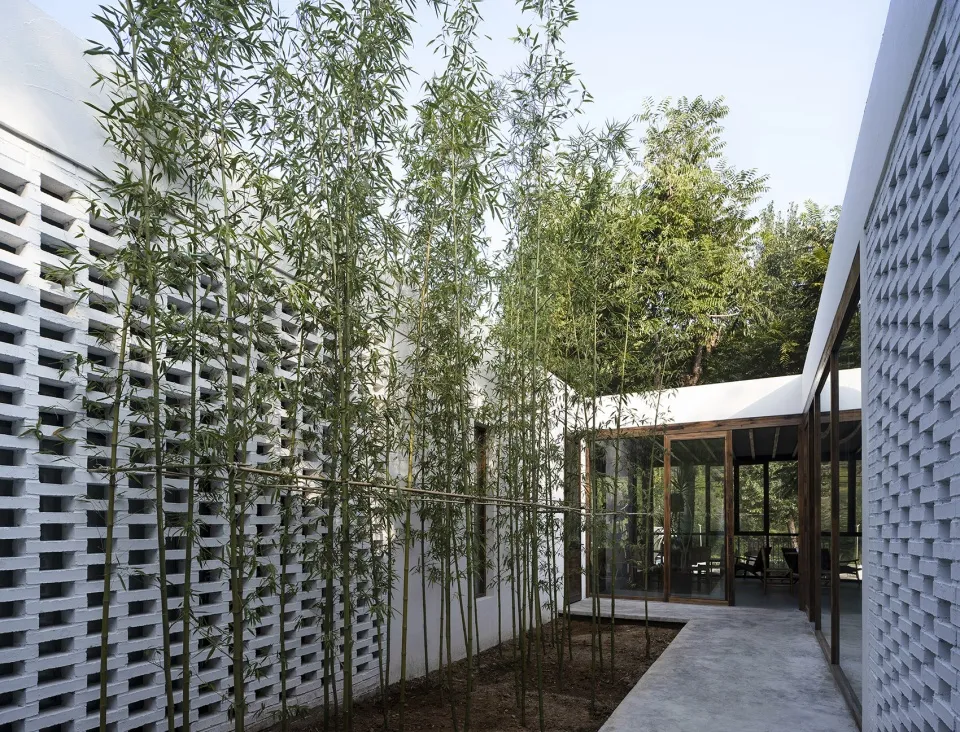 A modern house with a patio area surrounded by bamboo plants, featuring a concrete exterior and outdoor dining space with potted plants