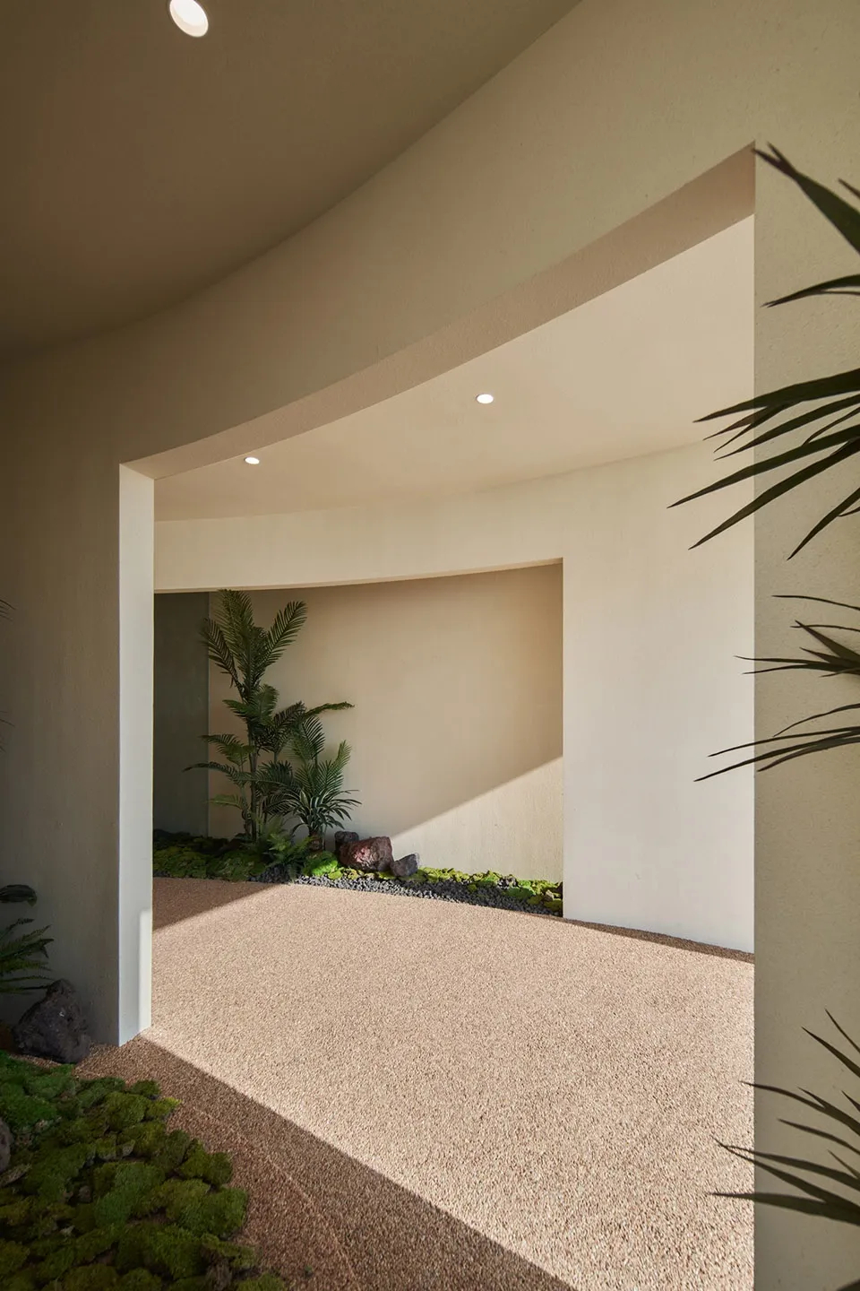 A simple room with a large white wall, a doorway, and two potted plants adding greenery, with a bench for seating