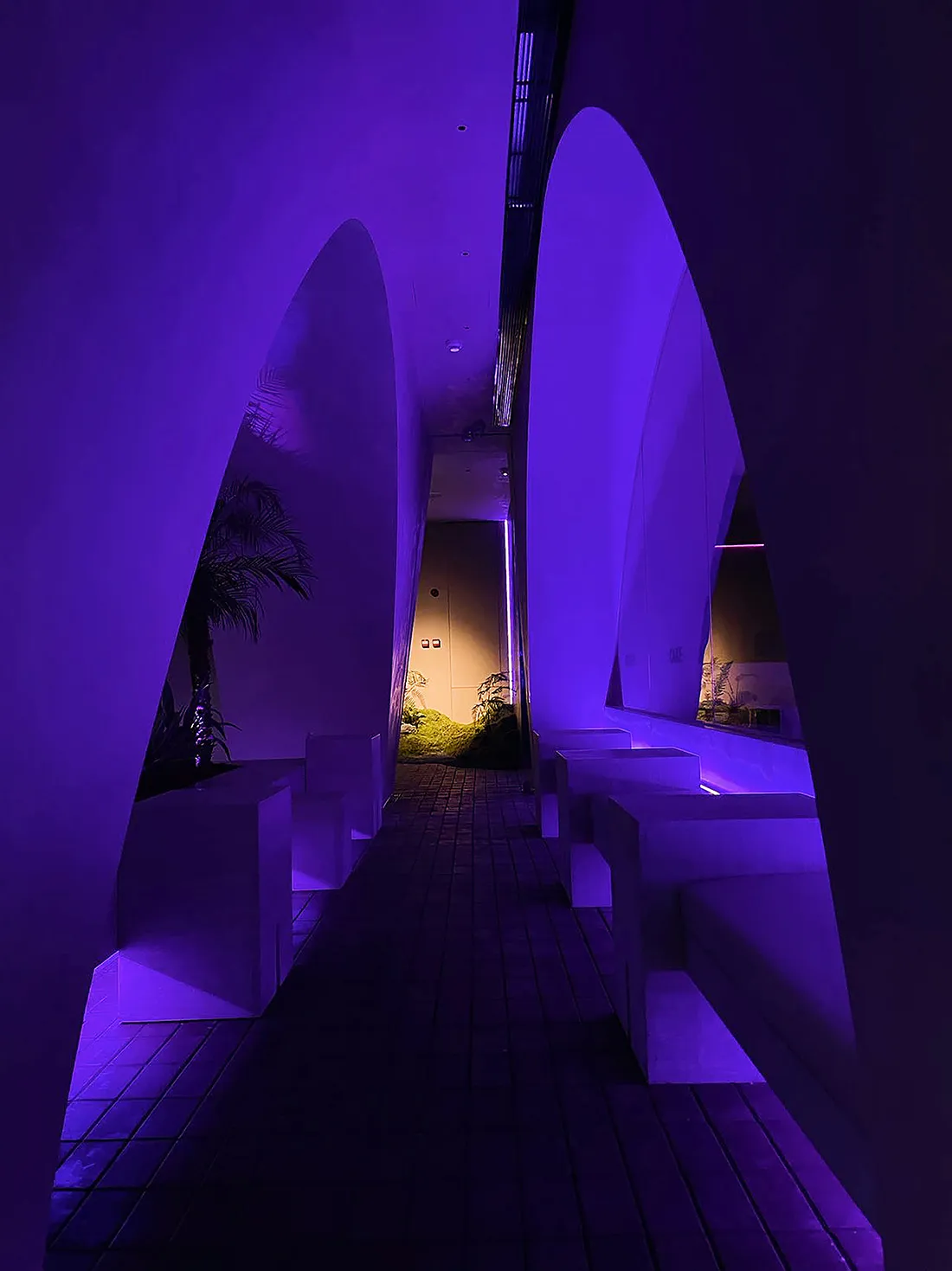 Purple interior space with benches and potted plants, featuring a modern and stylish atmosphere