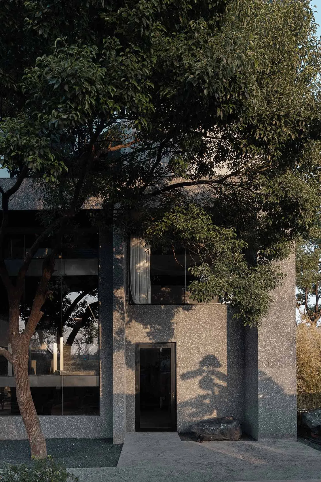 一座灰色建築前方有棵樹，在其表面投下陰影，場景中有人群