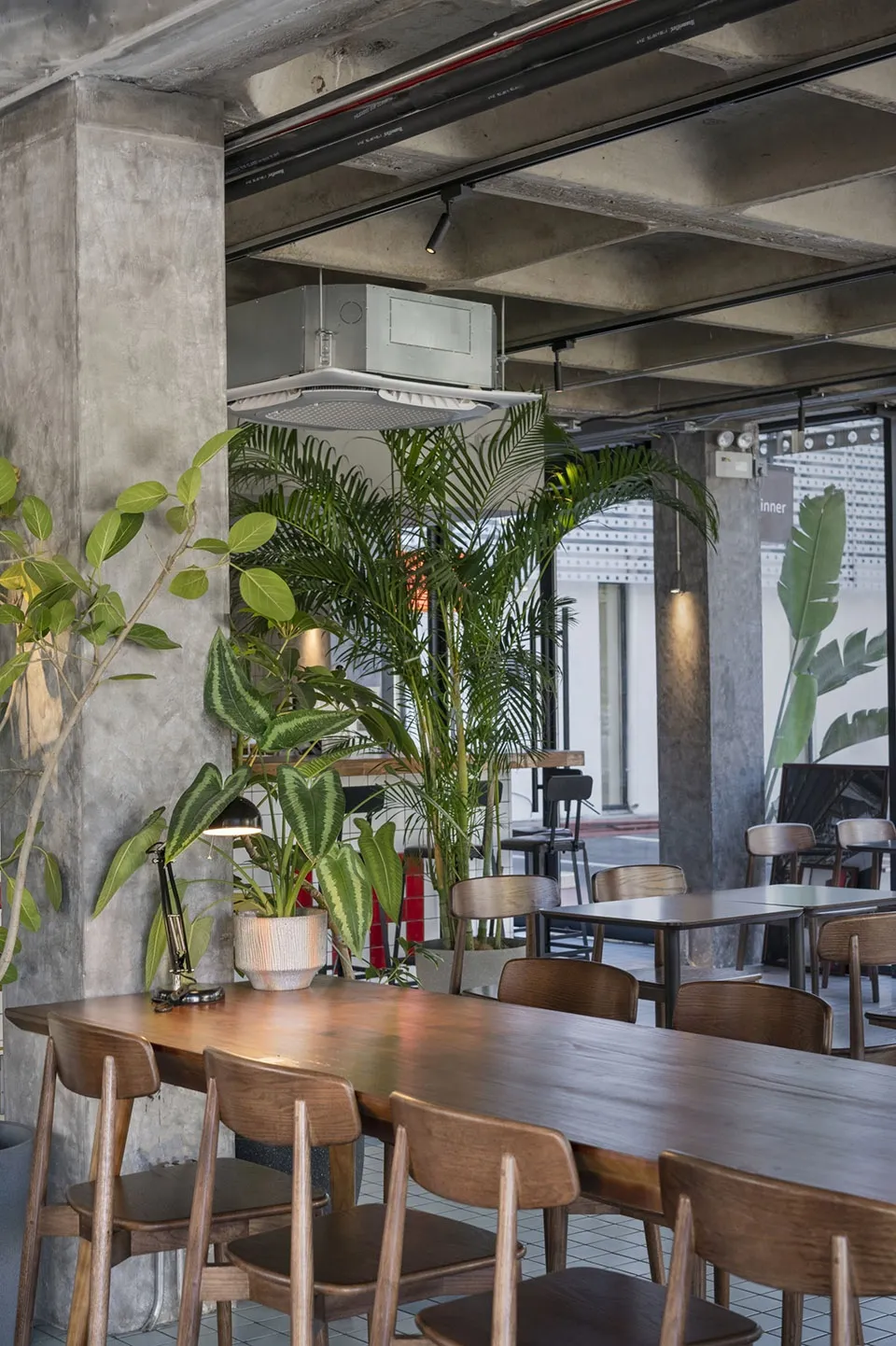 A modern dining area with a large wooden table, multiple chairs, and potted plants, featuring a warm and inviting atmosphere