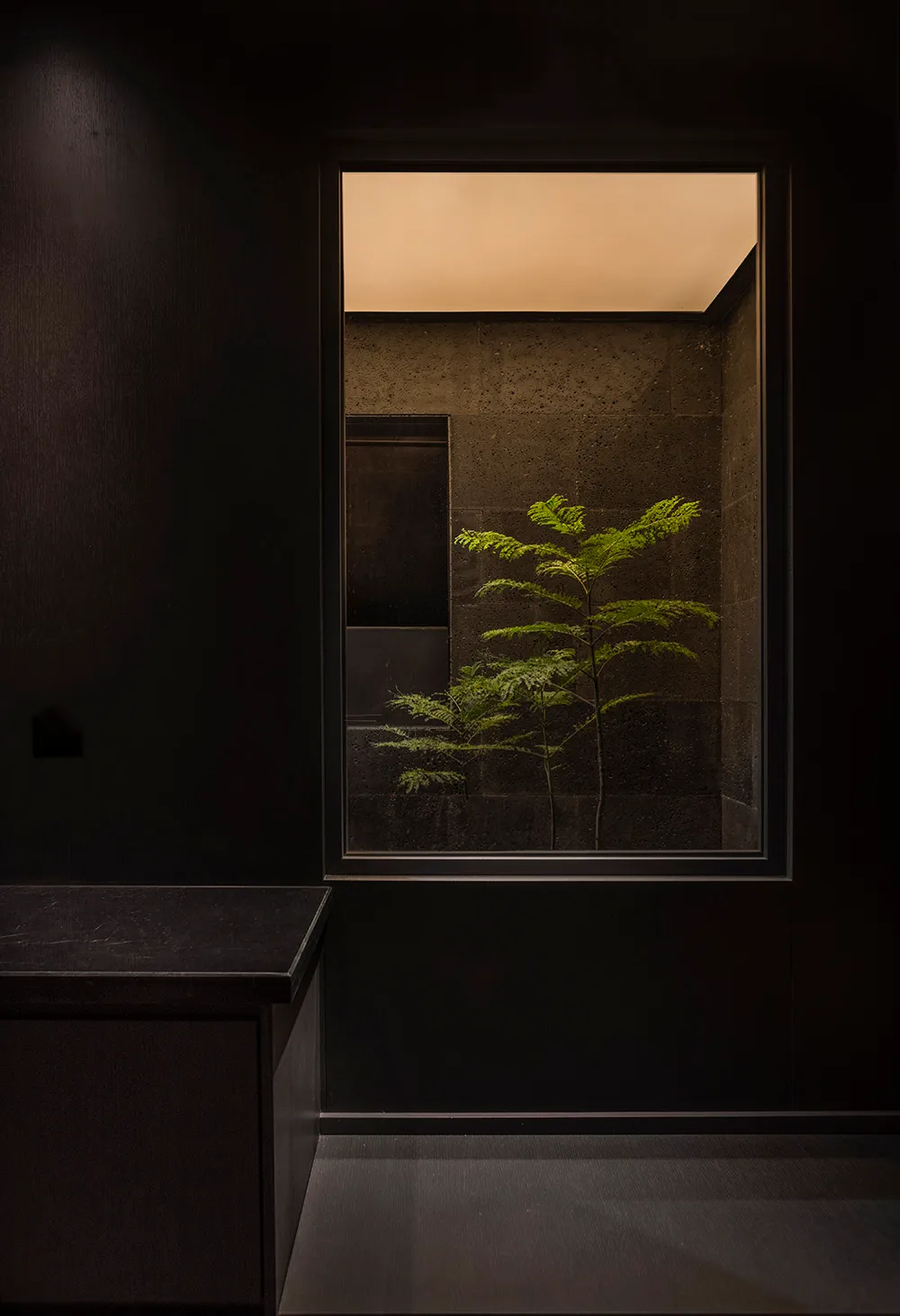 Bathroom with a black countertop, sink, mirror, and two potted plants, with natural light entering through a window