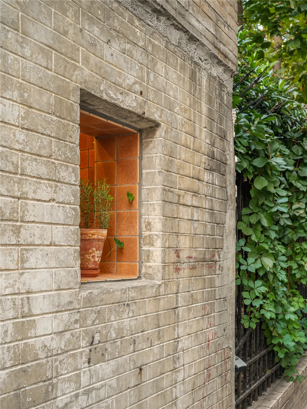 Exposed brick wall with a potted tree on a window ledge, adding greenery to the space