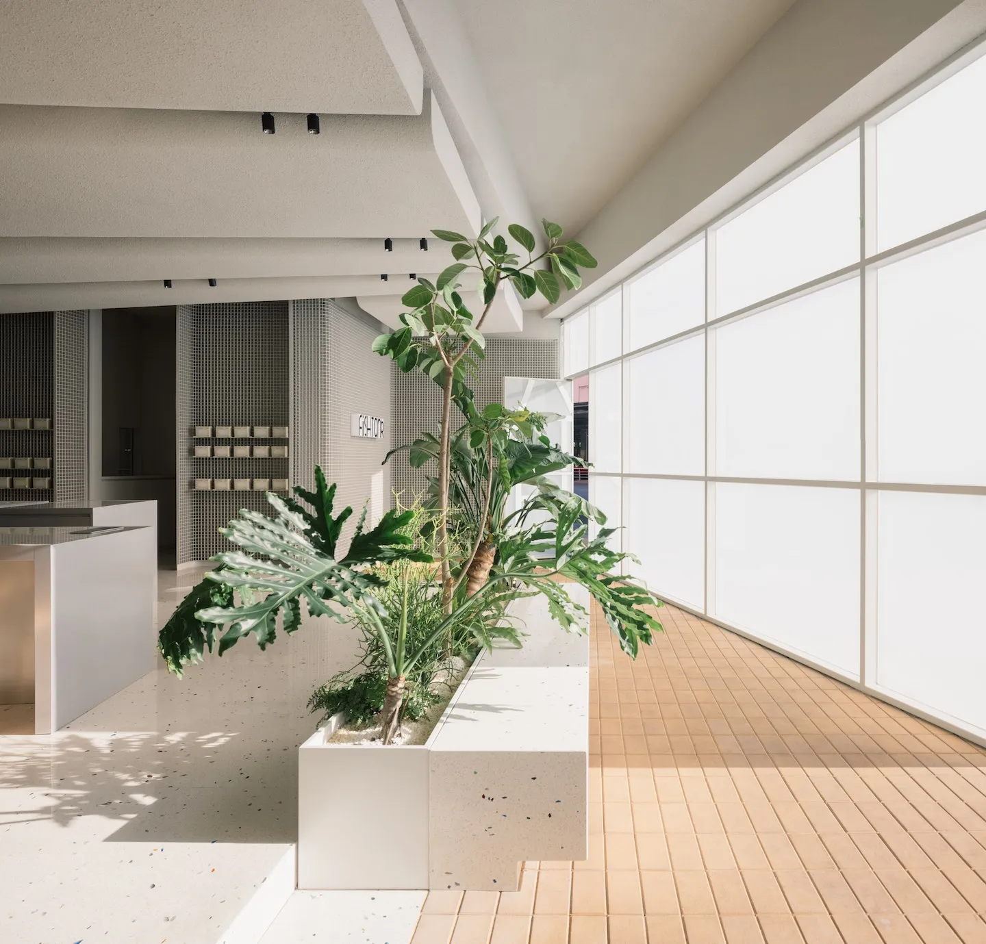 A calm and inviting indoor space with a large white wall featuring several potted plants, adding a touch of nature to the interior environment