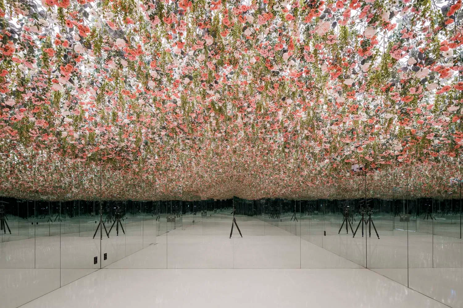 A warm and inviting cafe space filled with pink flowers hanging from the ceiling, creating a unique atmosphere