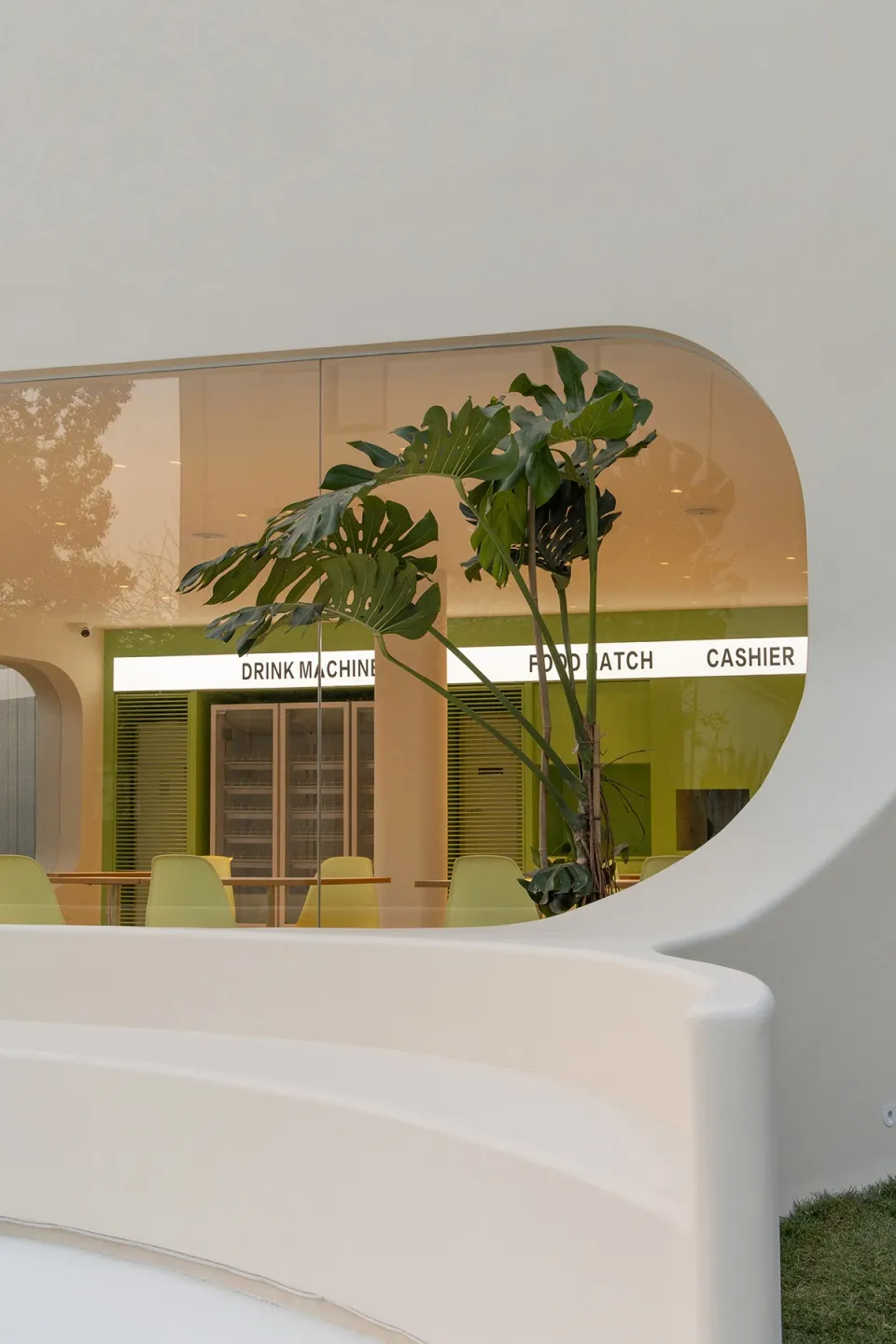 A warm and inviting restaurant bar with a few chairs, potted plants, and a comfortable atmosphere