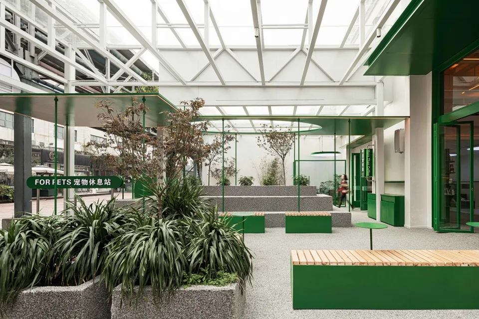 Bright and inviting space with green walls, a skylight, benches, chairs, and potted plants