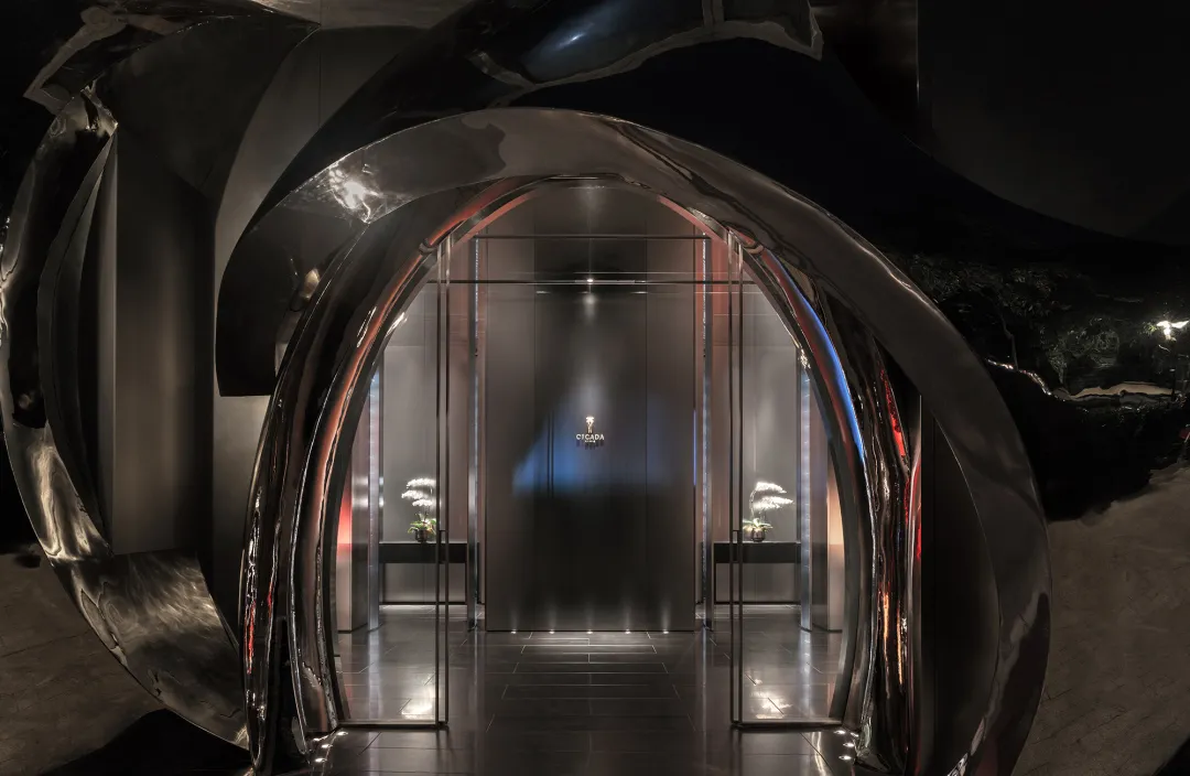 Spacious hotel lobby entrance with a large glass door, black wall, silver door, and potted plants, featuring a modern and sophisticated atmosphere