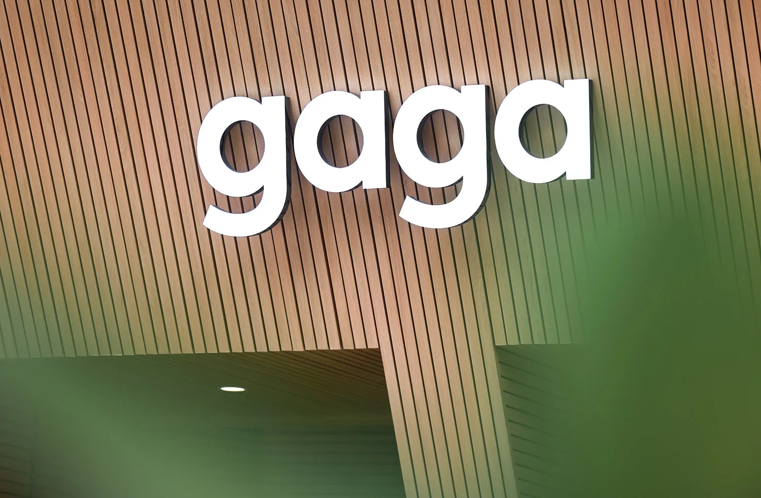 A modern building with a wooden exterior, featuring a large sign reading Gaga, in a contemporary architectural style