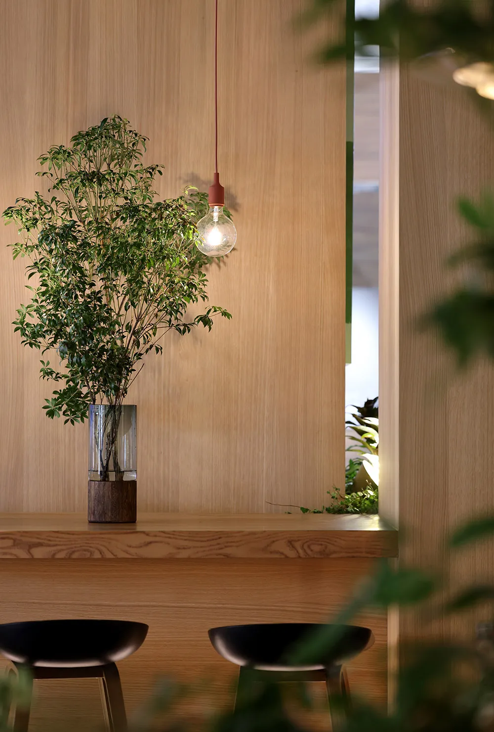 A small indoor space with a wooden countertop featuring a potted bonsai tree and a brown surface