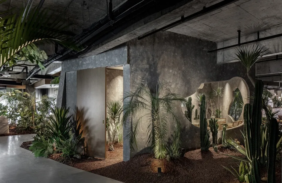 A serene indoor space with a large cactus plant and several potted plants, two doors, and a calm atmosphere