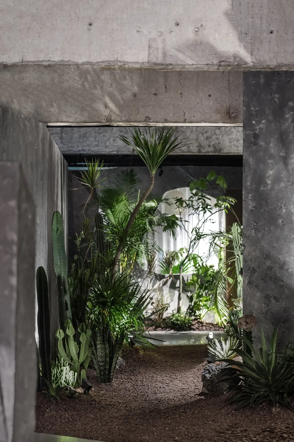 A living or dining area filled with multiple potted plants, vases, and a lush atmosphere
