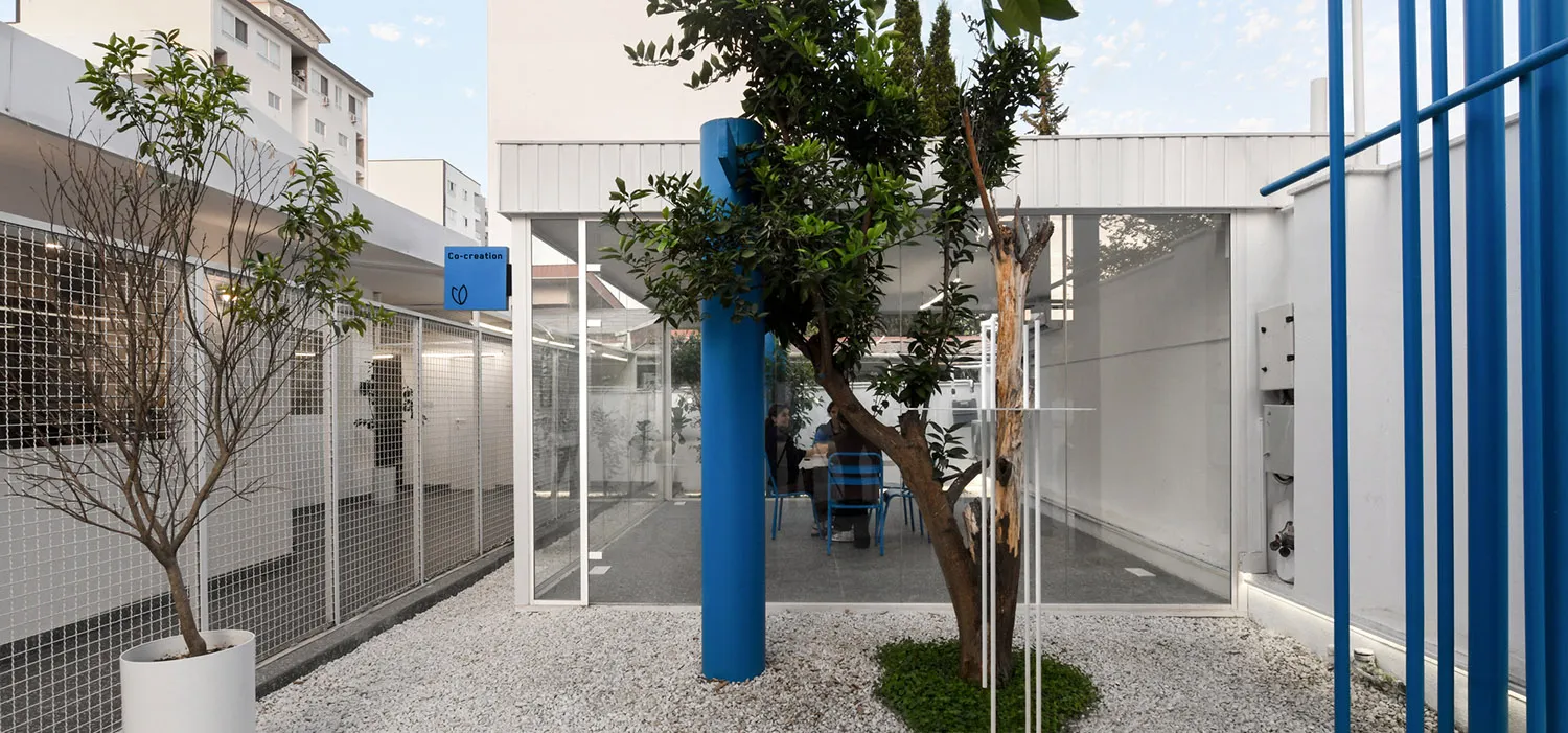 舒適室內空間，配有椅子、餐桌與盆栽，營造溫暖親切的氛圍