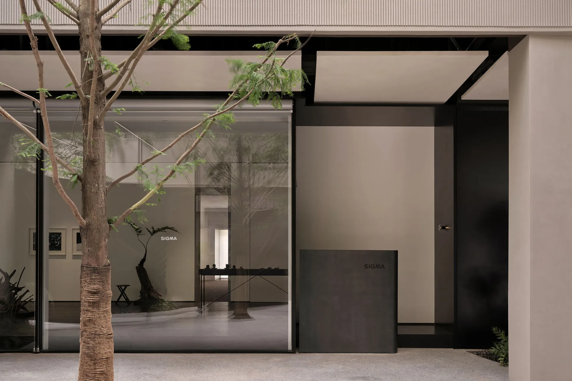 Spacious showroom with glass door, display cases, and potted plants, featuring modern and well-organized interior design