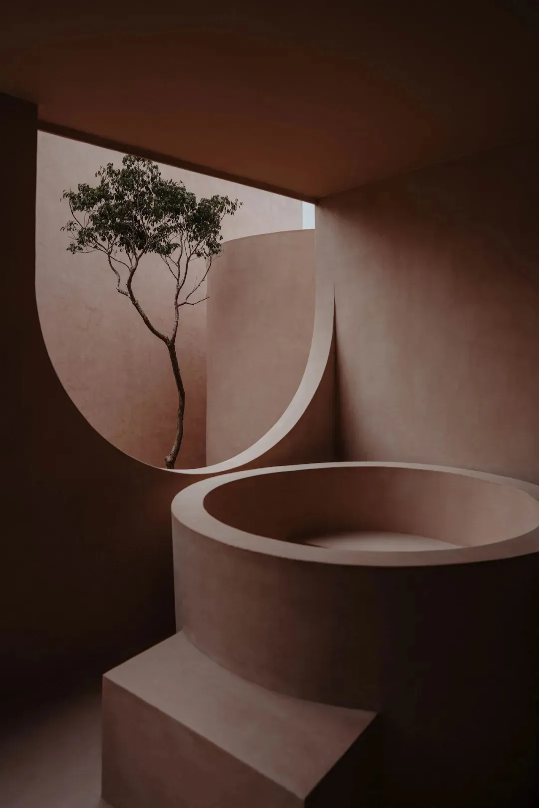 A serene indoor space with a large circular wall featuring a tree in a pot, surrounded by a unique structure or art installation