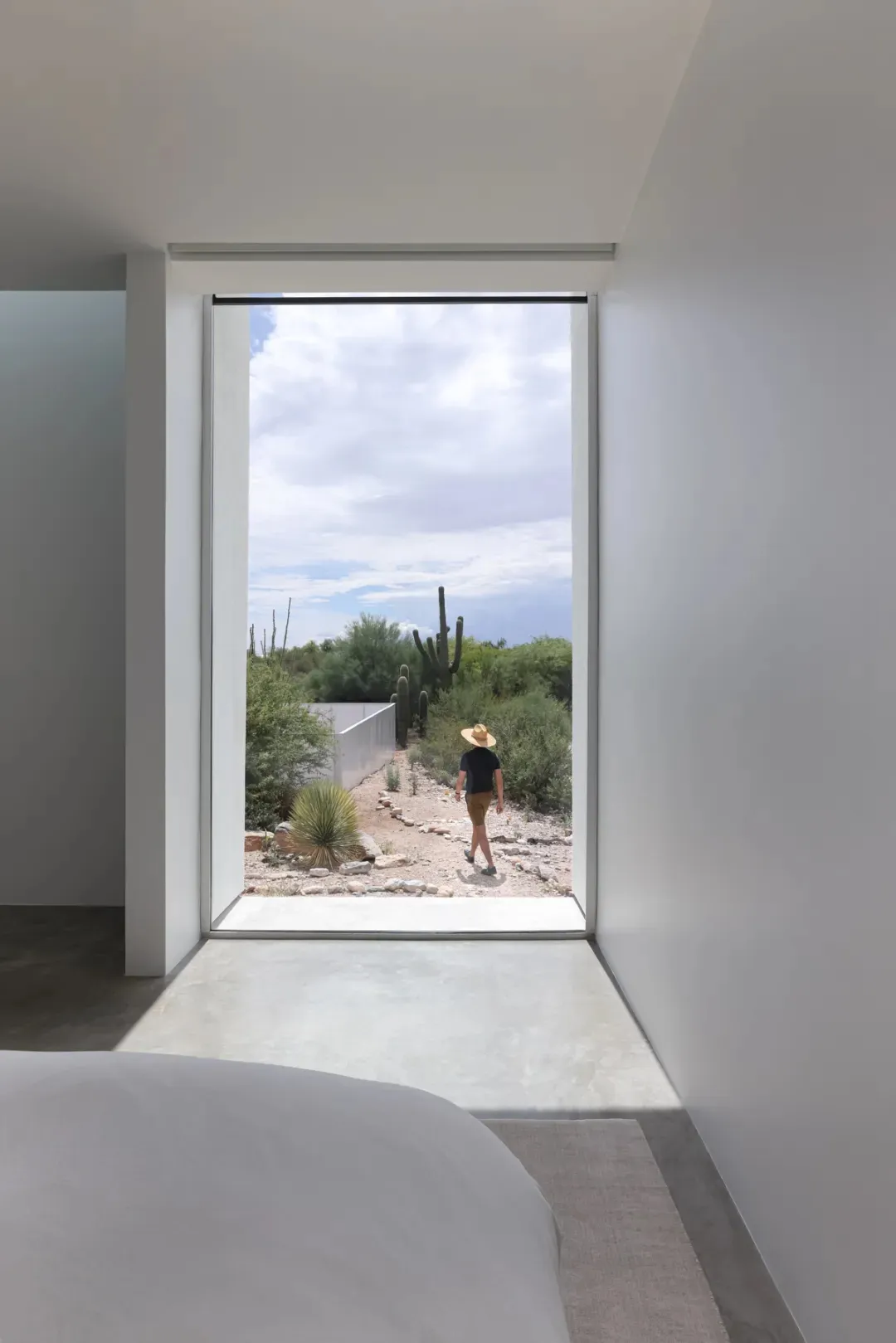 A desert patio with a dining table and chairs, surrounded by a warm and casual outdoor space