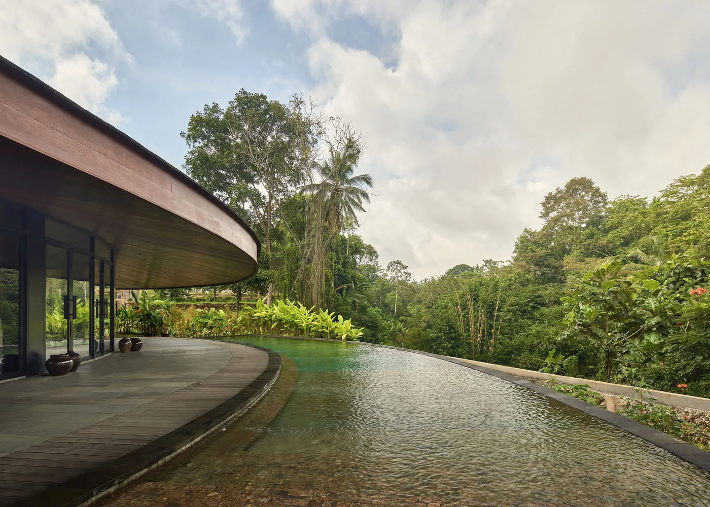 A modern indoor pool surrounded by potted plants, creating a relaxing and luxurious atmosphere