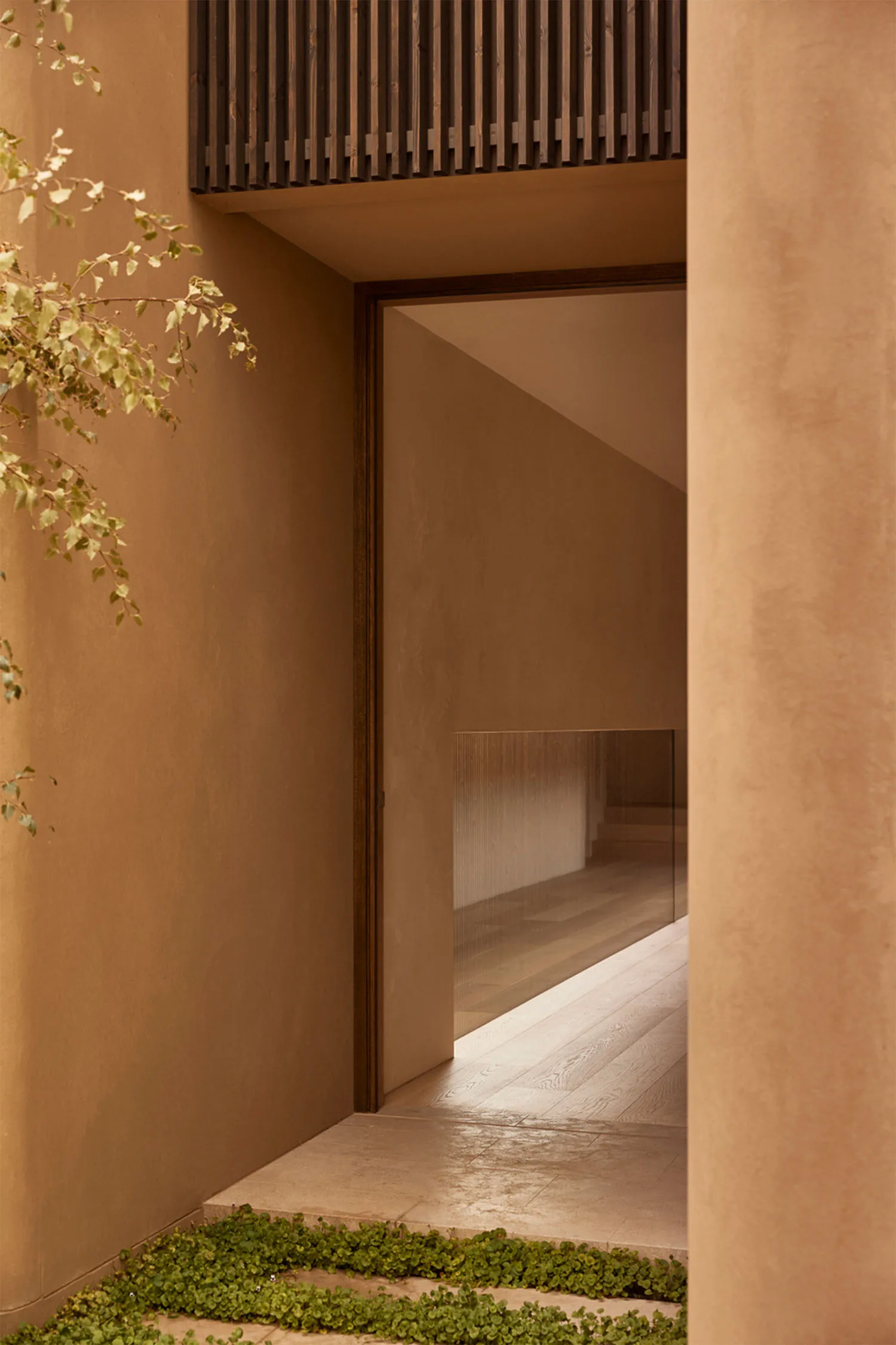 A calm and inviting hallway with a wooden floor, concrete walls, and two potted plants near the entrance