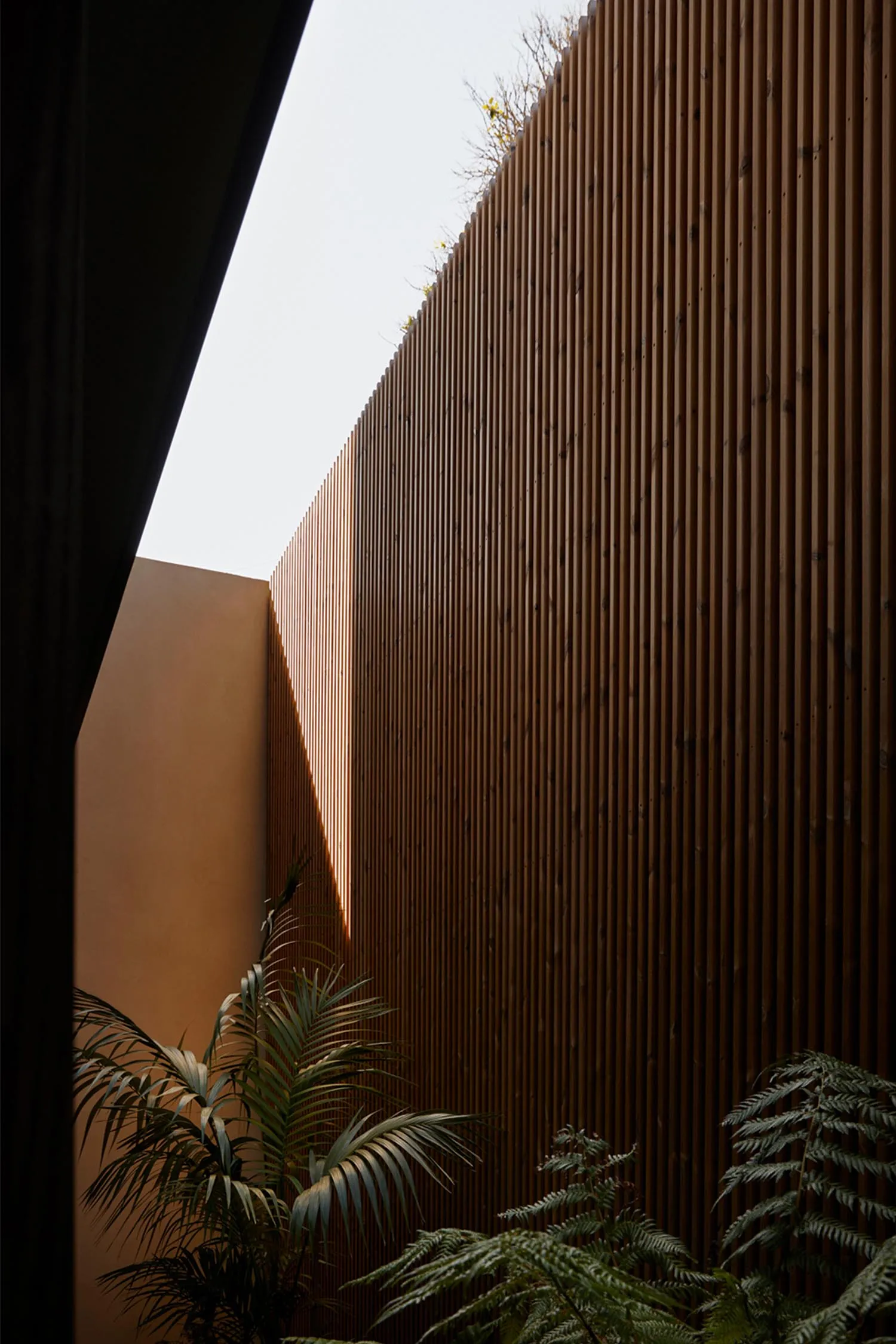 A building with a wooden facade, palm trees, and a large window, bathed in warm sunlight