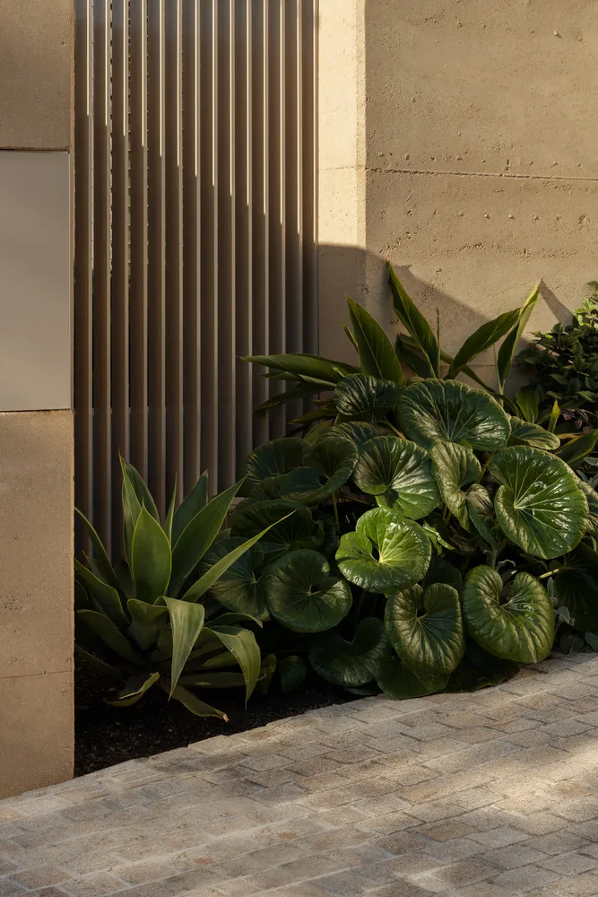 A garden scene with potted plants and large leafy plants, set in an outdoor living space with lush atmosphere