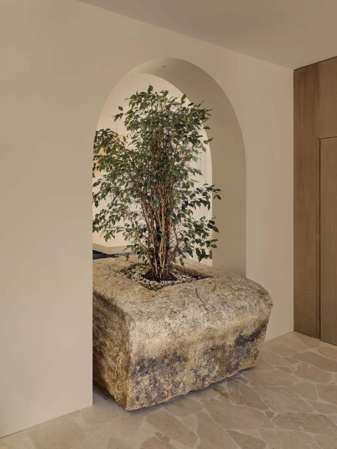 A cozy room with a large rock in the corner featuring a tree, two potted plants, and a chair, creating a natural and inviting atmosphere