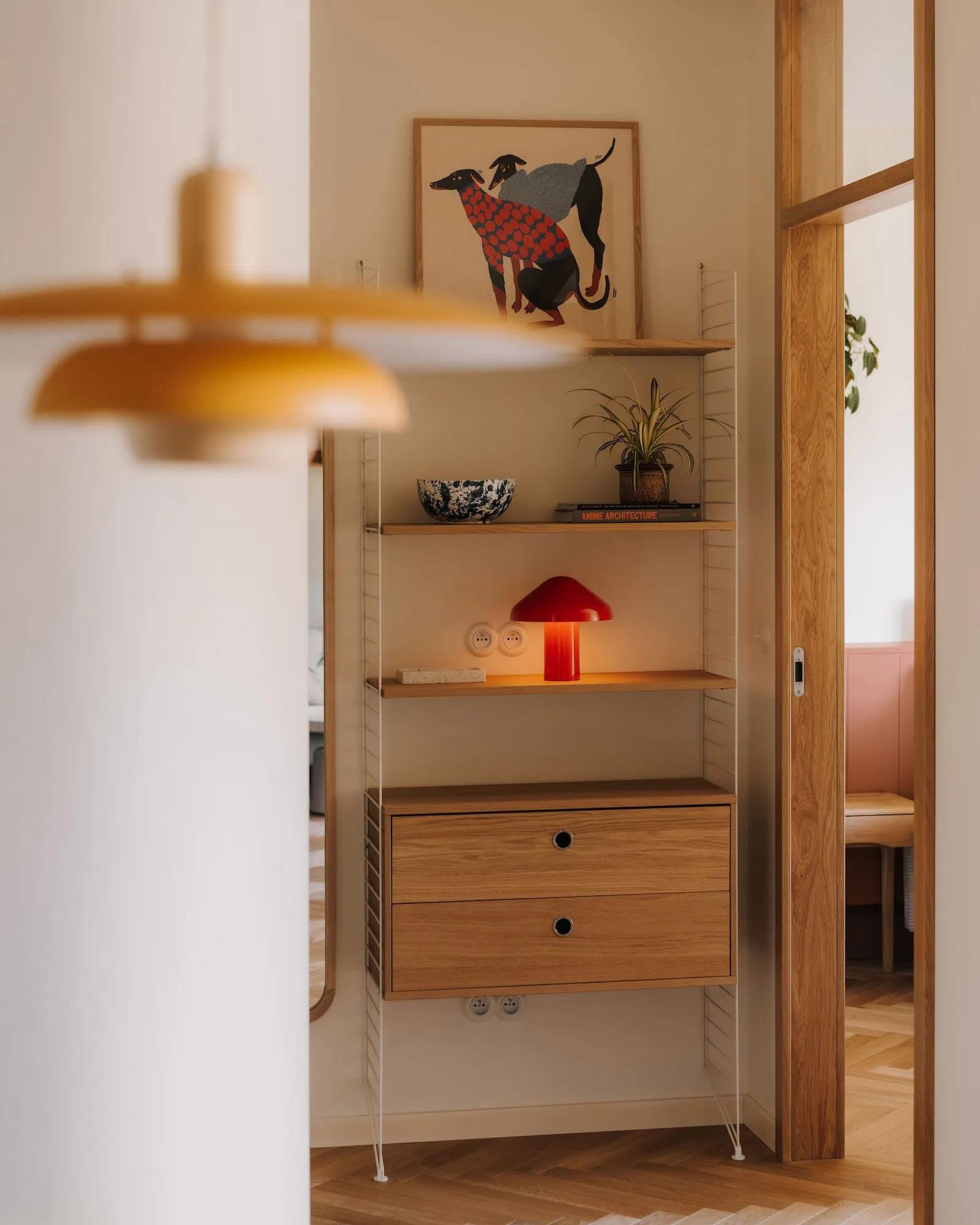 Small room with wooden floors and walls, featuring two bookshelves with books and a potted plant, creating a cozy atmosphere