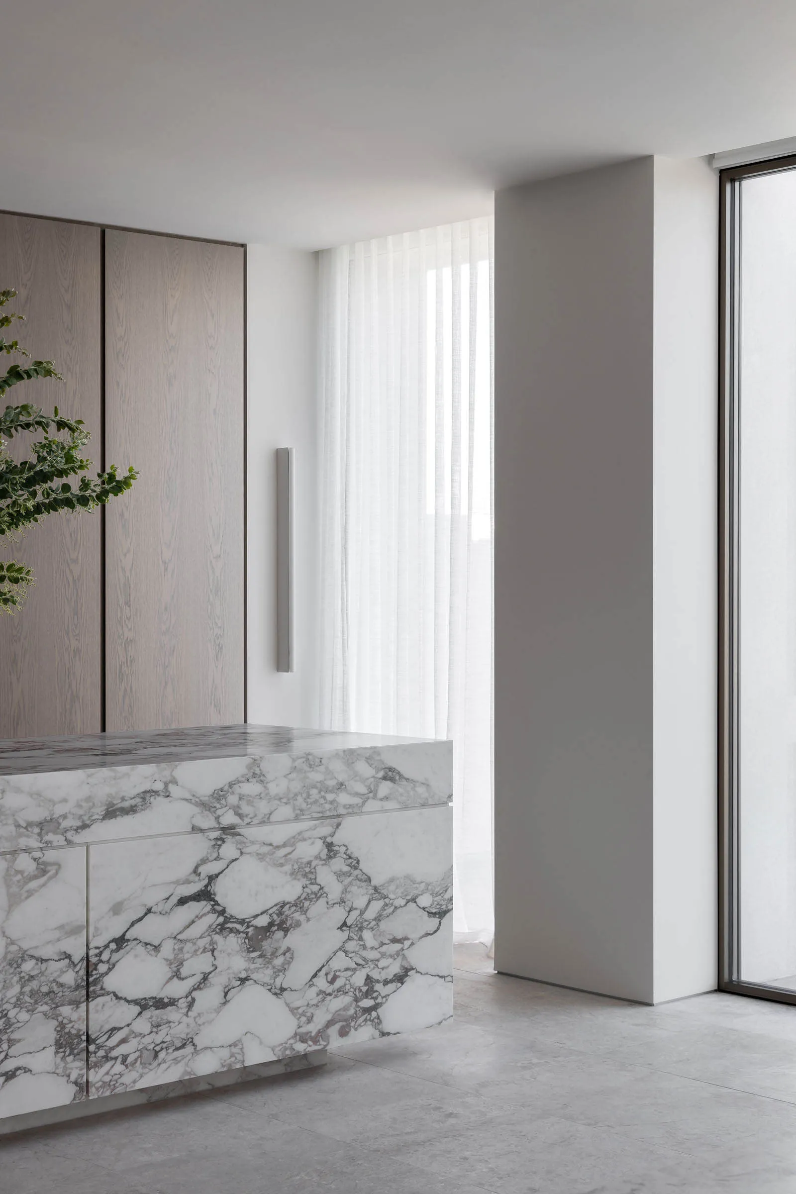 A modern kitchen with a large white marble countertop, two potted plants, and a clean atmosphere