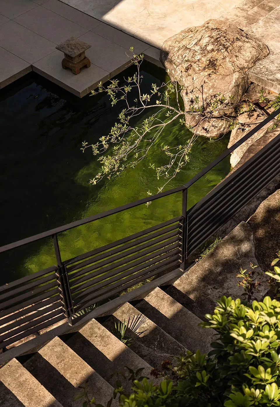 A rendered scene of a staircase leading to a pool area with a tree in front, surrounded by a relaxing and inviting environment