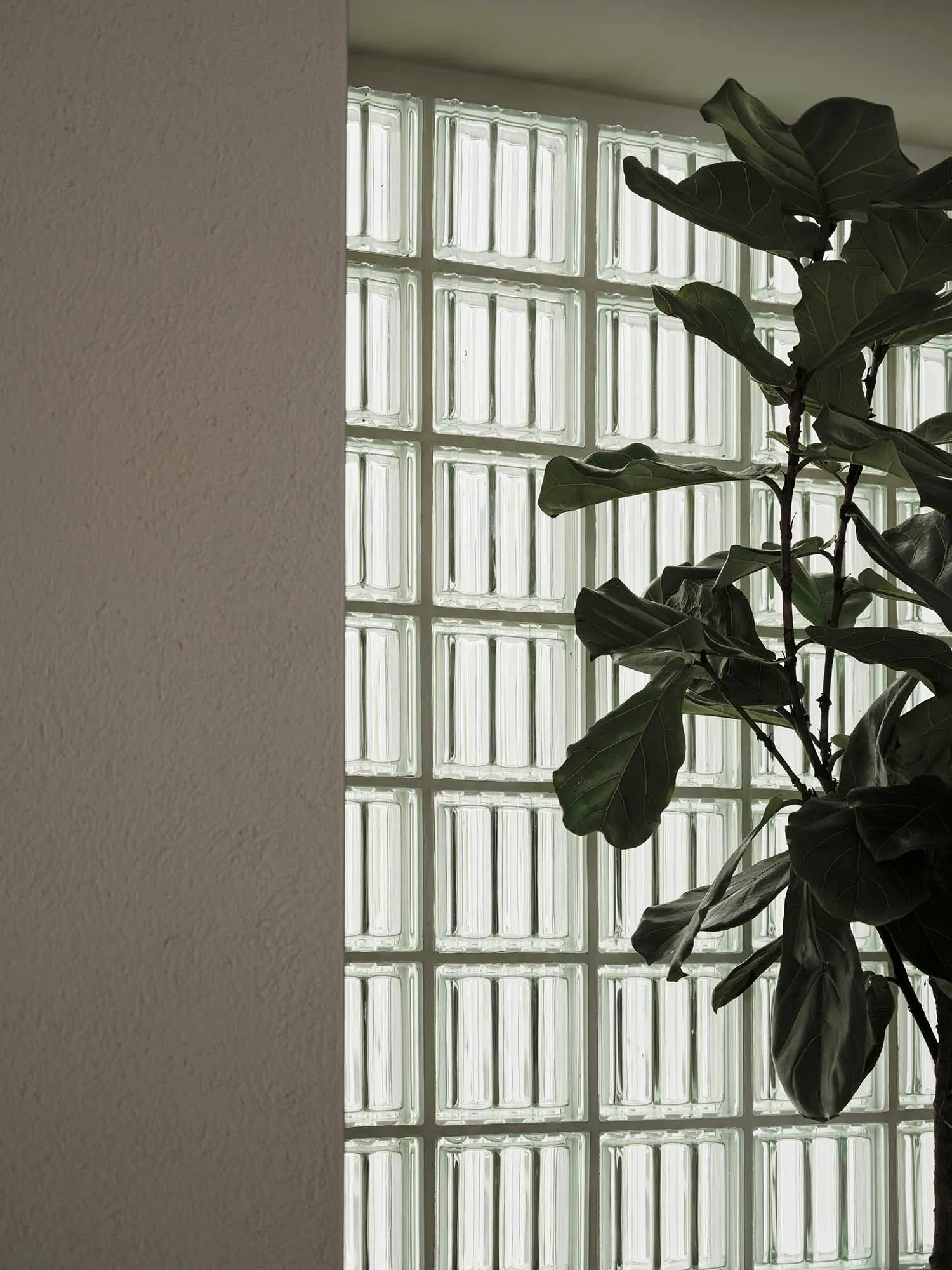 A cozy room with a large window, a potted plant, and natural light