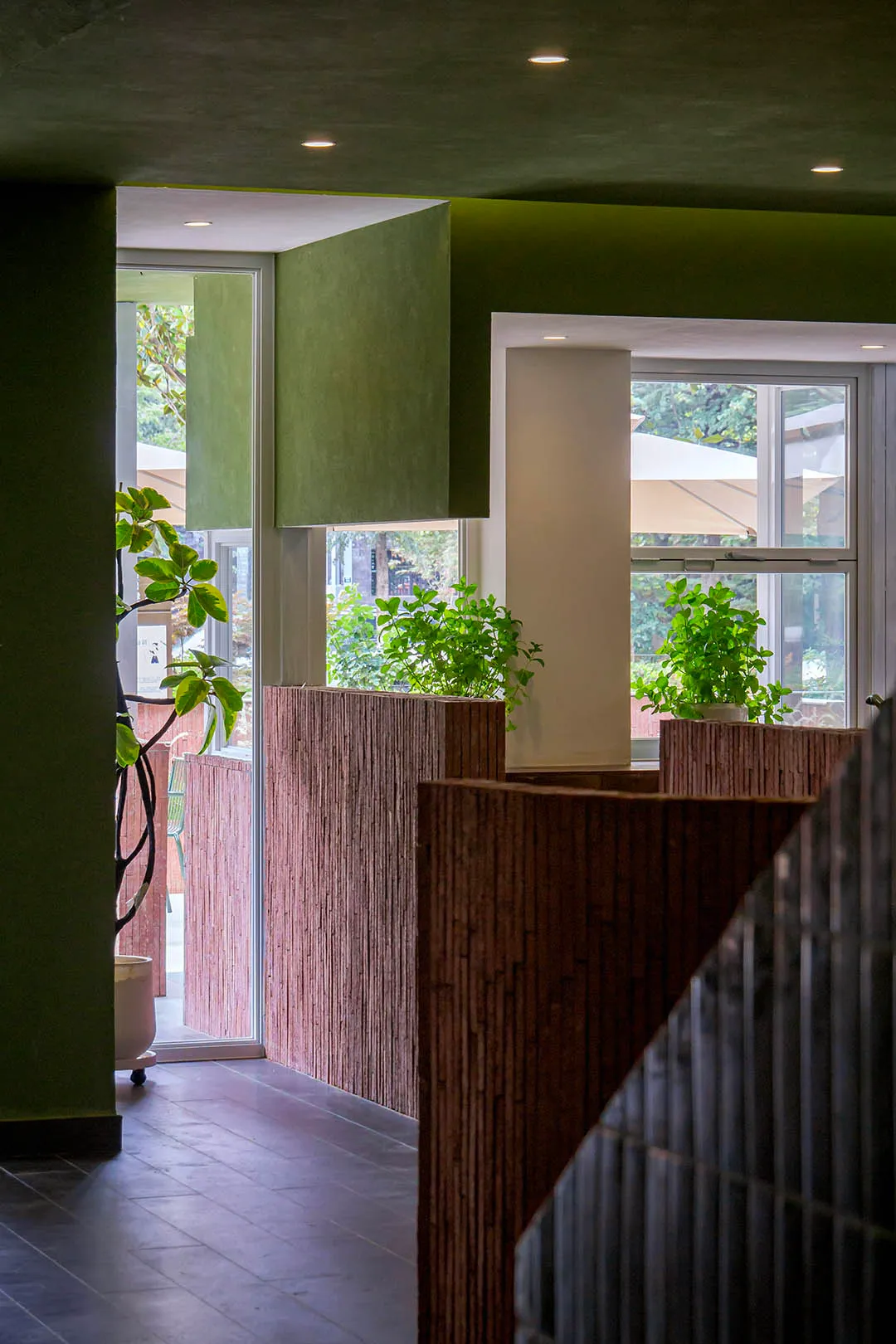 A room with a green wall and plants, natural light, and a lively atmosphere