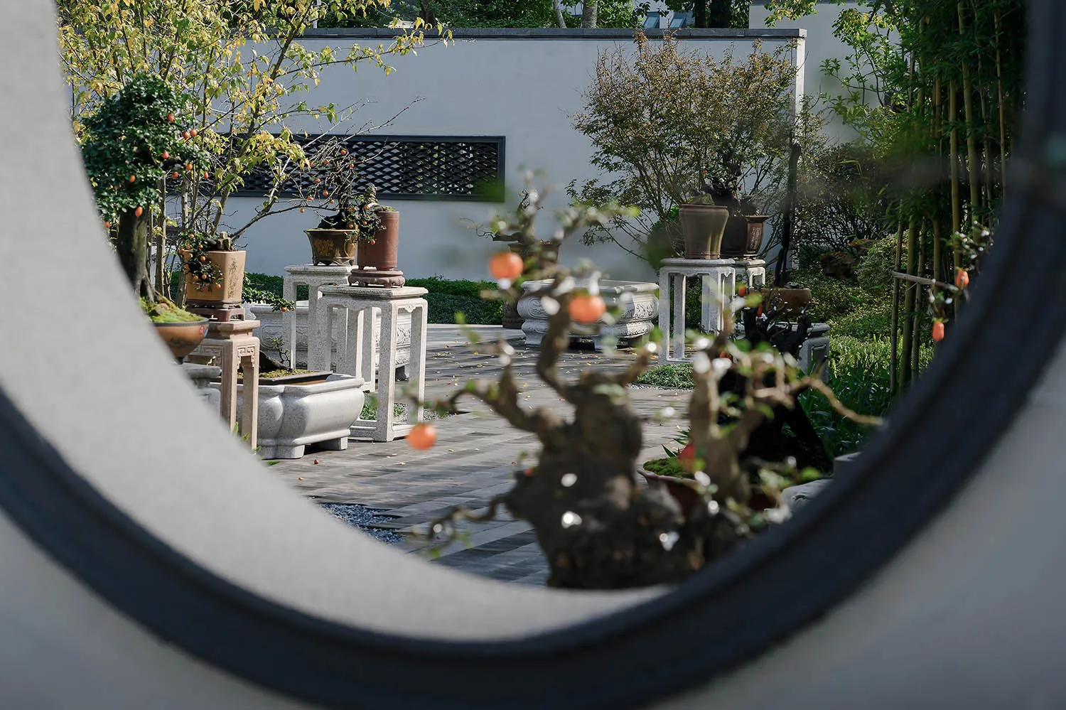 a serene garden with potted plants, trees, and a bench in front of a white building