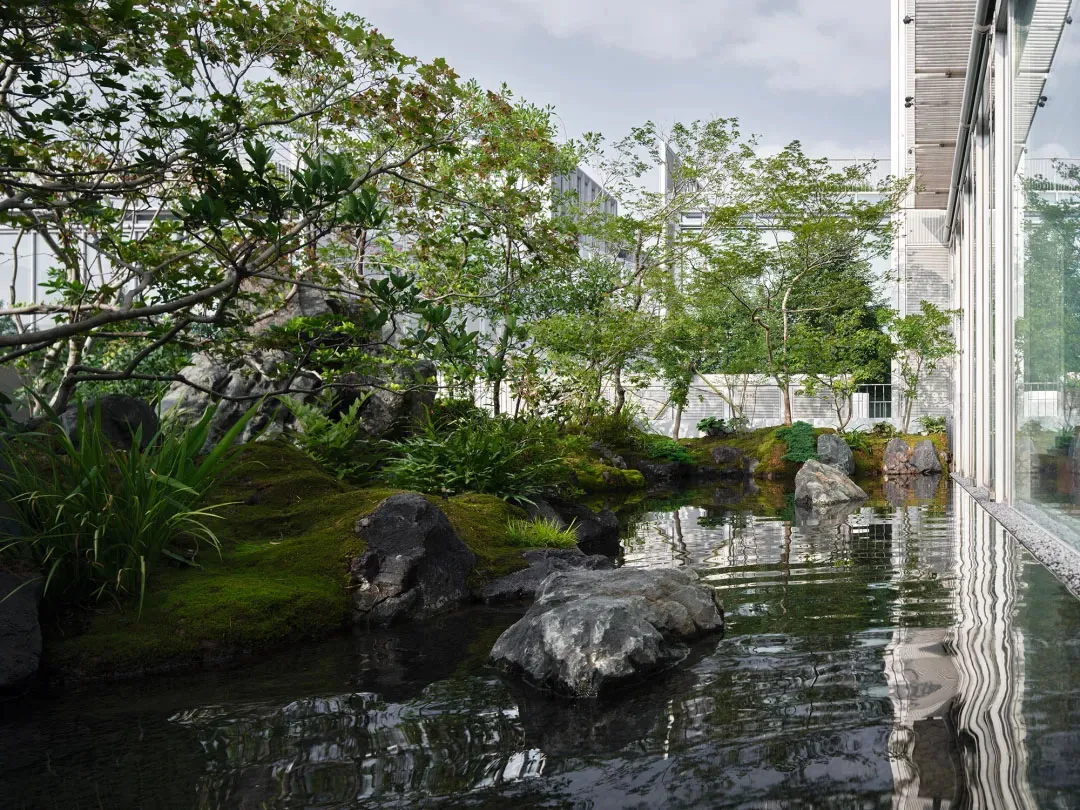 A serene and natural garden scene with a pond surrounded by rocks and plants, and a large building in the background