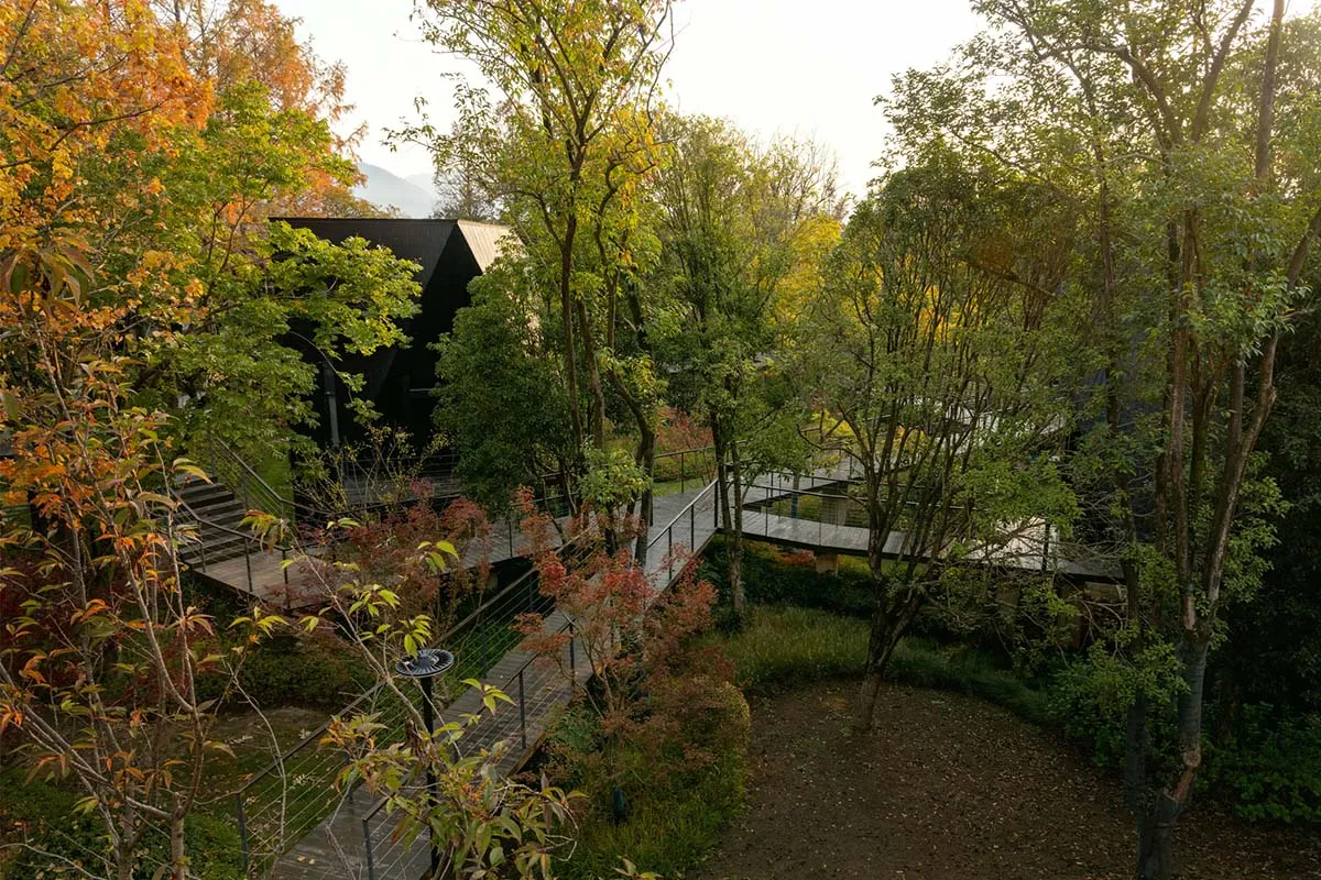 A house with a black exterior and a wooden deck surrounded by trees, with a metal railing along the deck's length