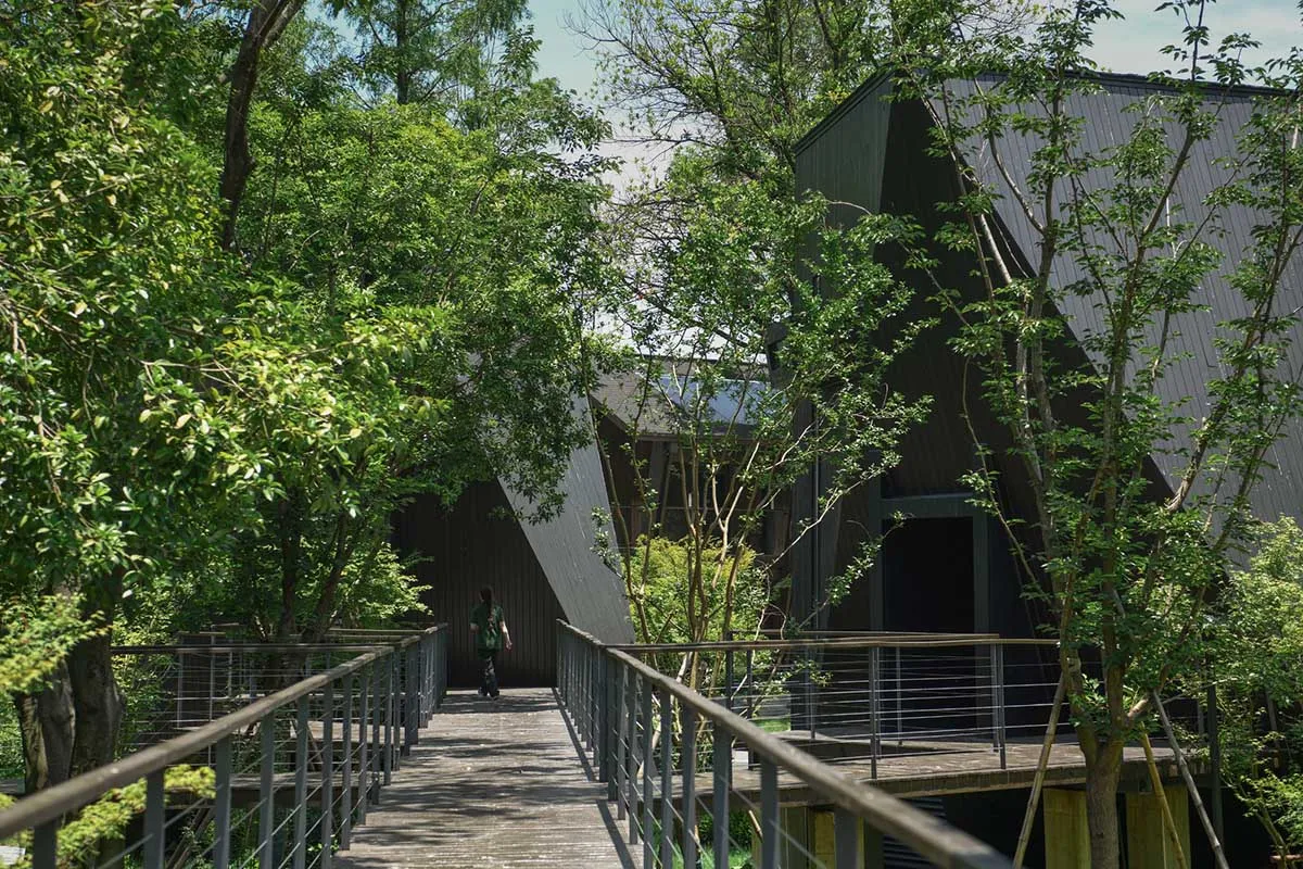 A house with a black exterior and a wooden deck surrounded by trees, featuring a metal railing and a serene natural atmosphere