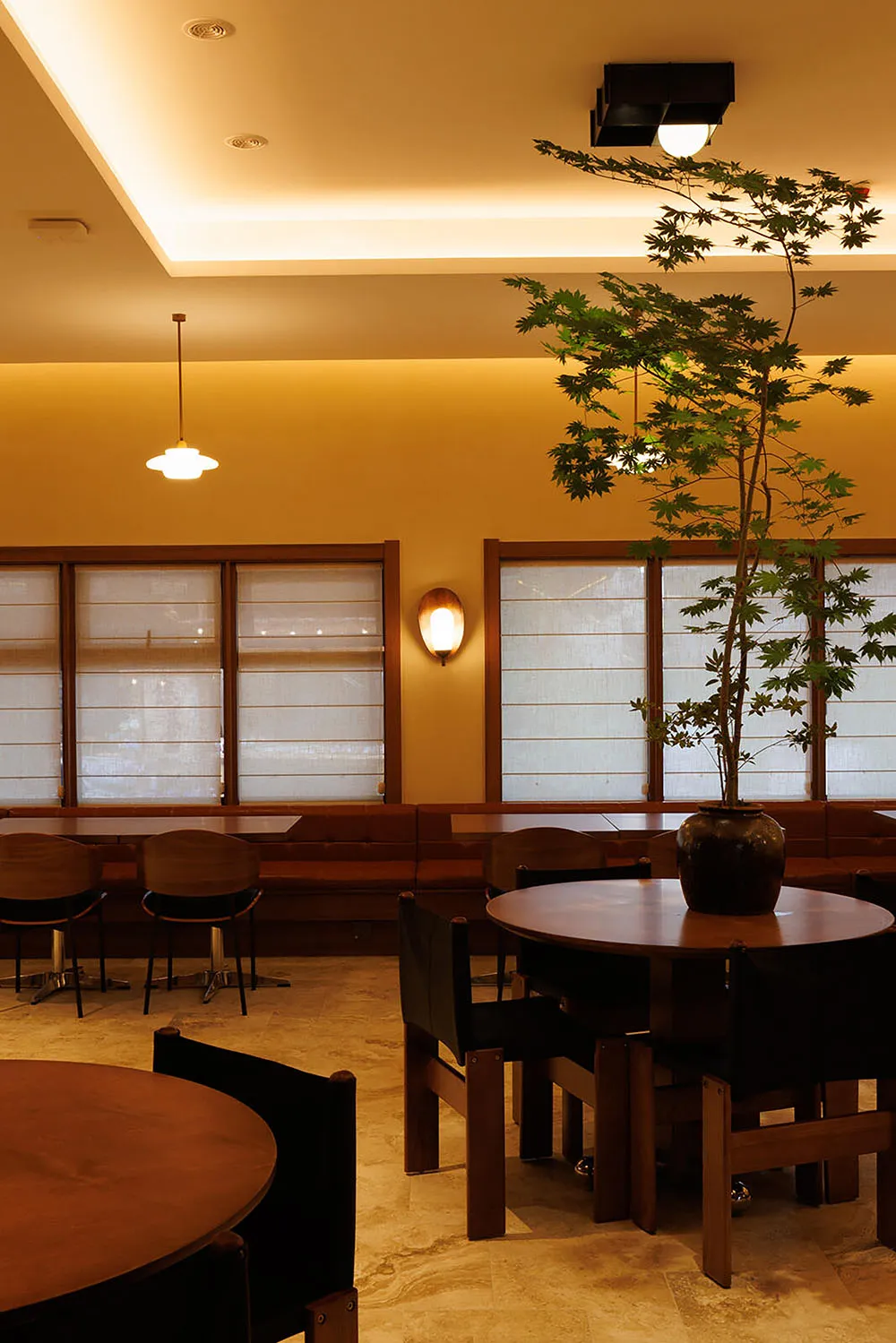 A modern dining area with a long table and chairs, surrounded by a potted plant, in a well-lit and inviting space