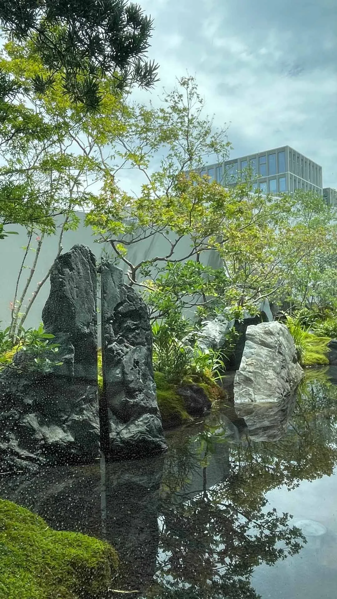 A serene outdoor space with a modern building, large windows, and a reflecting pool, surrounded by natural and man-made elements