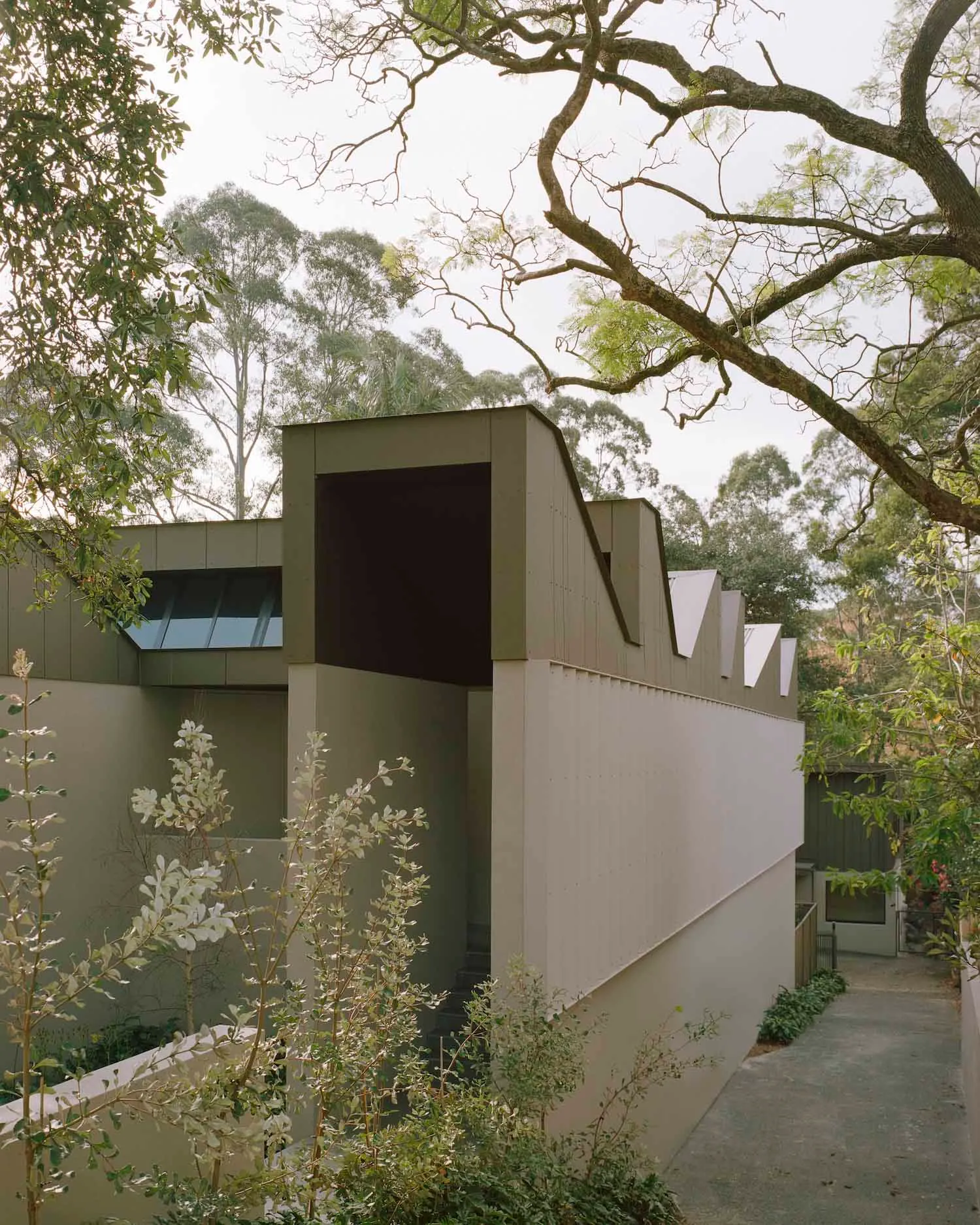 A modern house with a gray exterior, large window, and natural surroundings, featuring a minimalist and functional design with natural materials and simple lines, under soft and diffused lighting