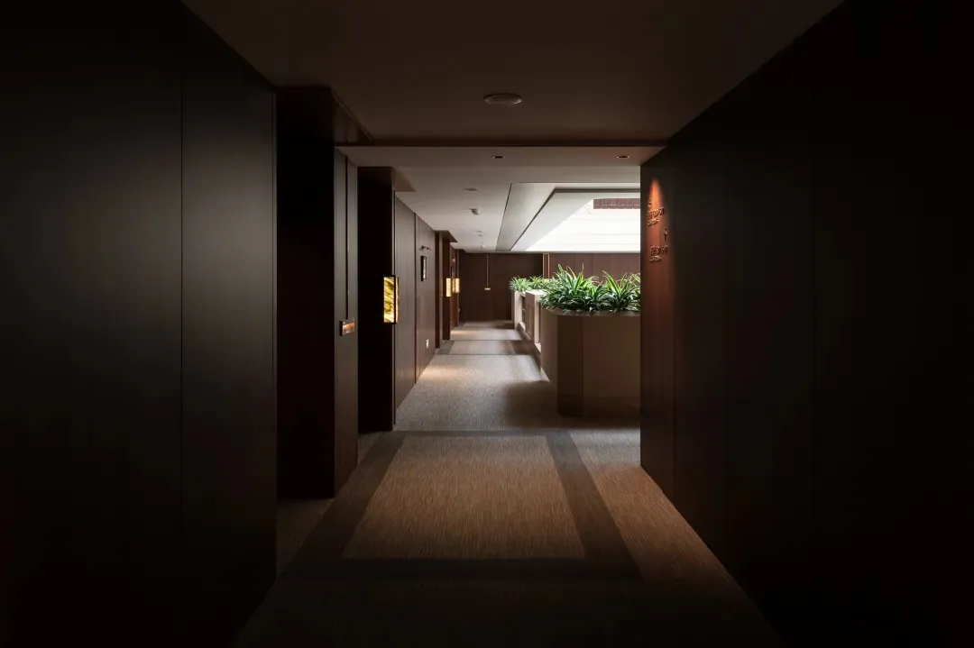 Dimly lit hotel hallway with a carpeted floor, potted plants, and a modern style