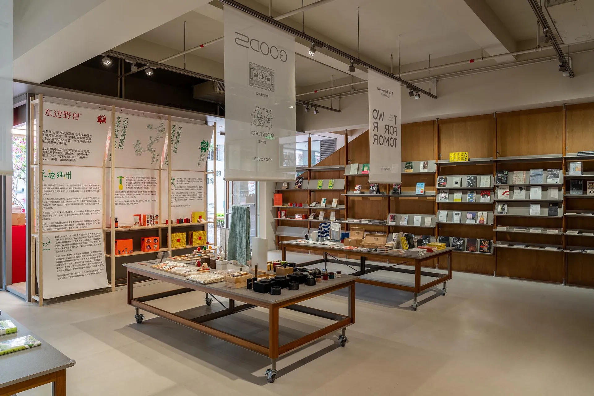 A well-lit bookstore with books on wooden shelves, a cozy atmosphere, and natural light from windows